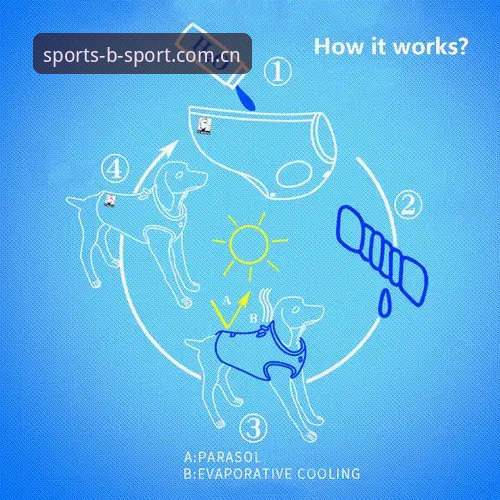 BSPORT体育登录入口深度评测：从注册到提现的全流程体验报告